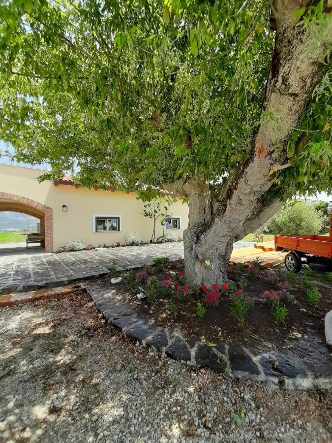 B&B Tenuta San Michele カプチオ・パエストゥム エクステリア 写真
