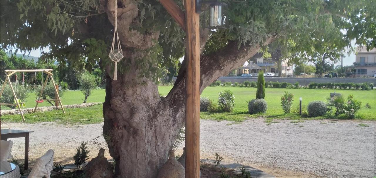 B&B Tenuta San Michele カプチオ・パエストゥム エクステリア 写真