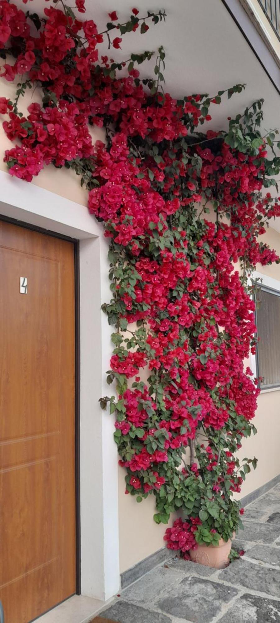 B&B Tenuta San Michele カプチオ・パエストゥム エクステリア 写真